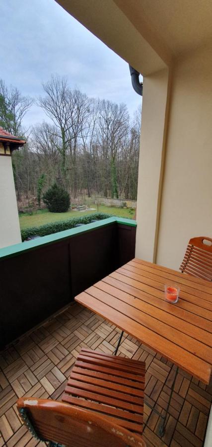 Maisonettewohnung In Elbnaehe Dresden Ngoại thất bức ảnh